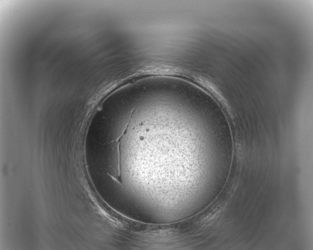 X0000067900433200604171407