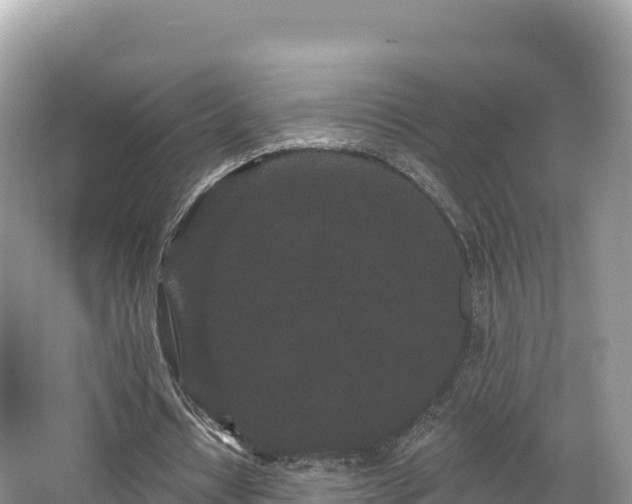 X0000067900434200604171407