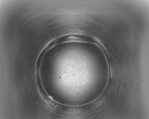 X0000067900435200604171407