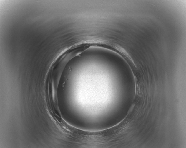 X0000067900436200604171407