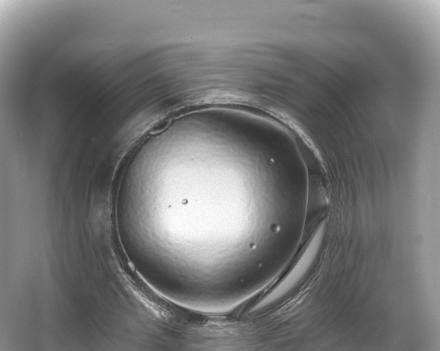 X0000067900437200604171407