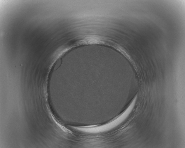 X0000067900438200604171407