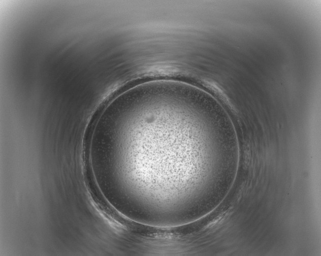 X0000067900439200604171407