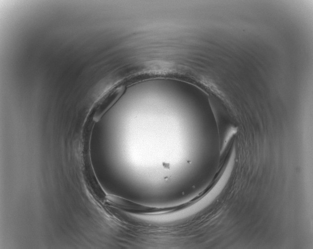 X0000067900440200604171407