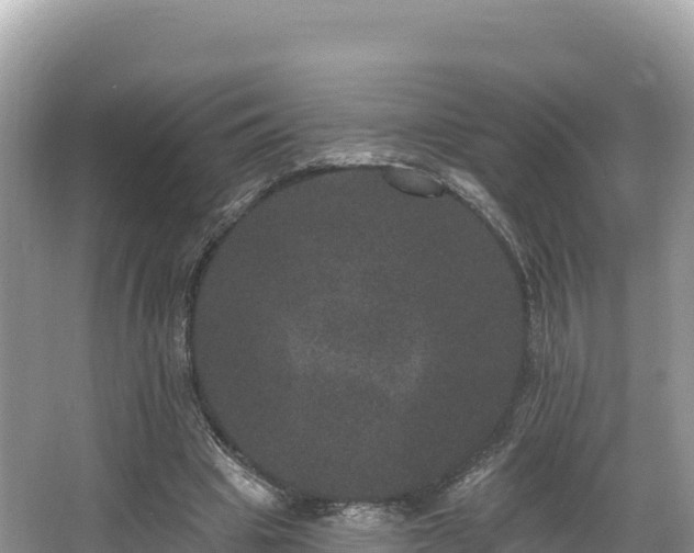 X0000067900441200604171407