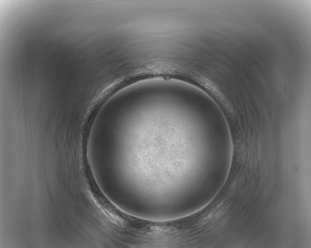 X0000067900442200604171407