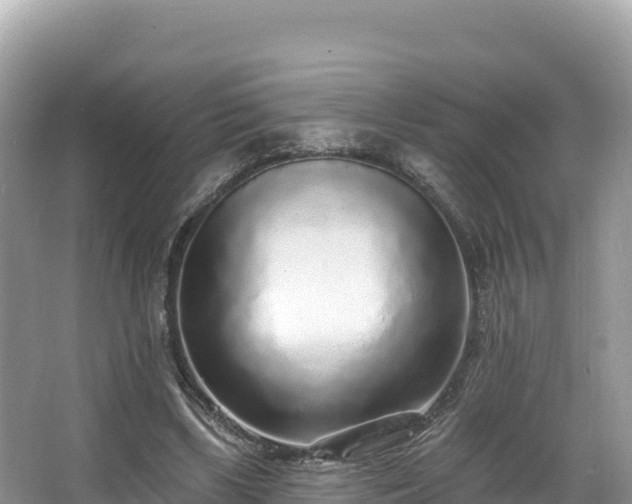 X0000067900443200604171407