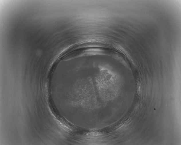 X0000067900444200604171407