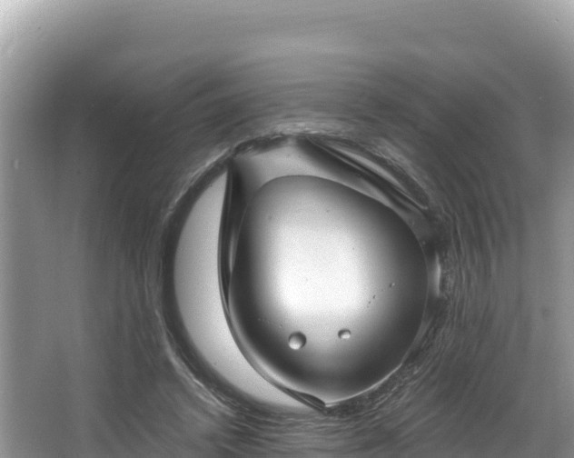 X0000067900448200604171407