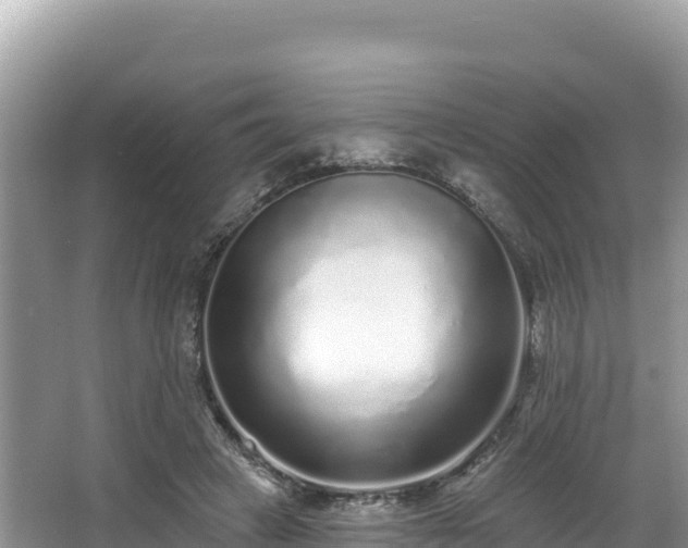 X0000067900449200604171407