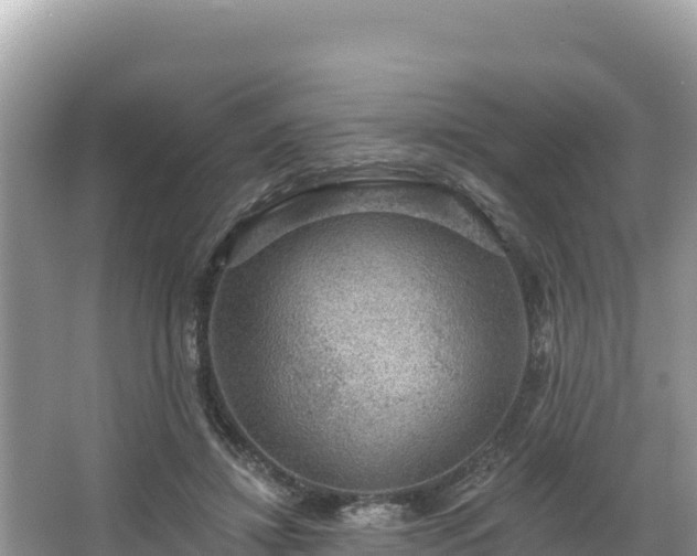 X0000067900452200604171407