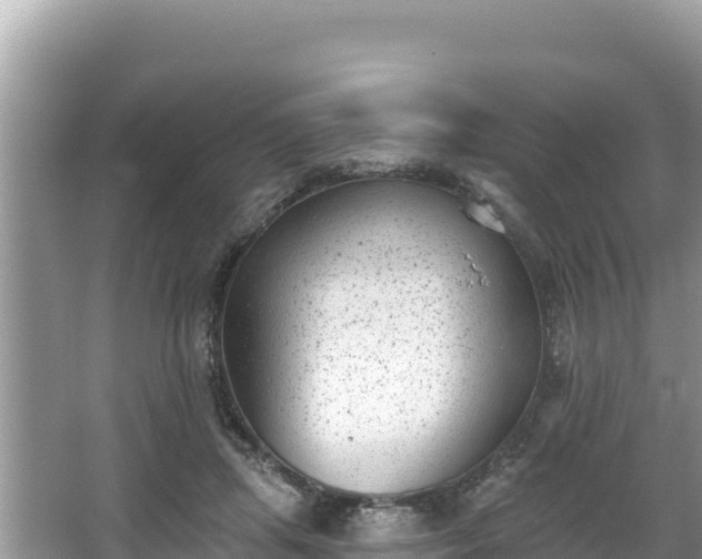 X0000067900455200604171407