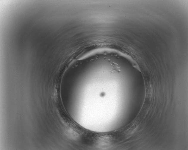 X0000067900456200604171407