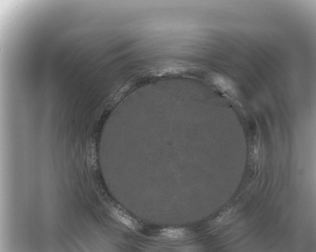 X0000067900457200604171407