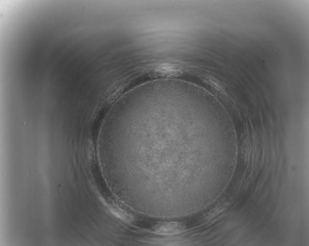 X0000067900459200604171407