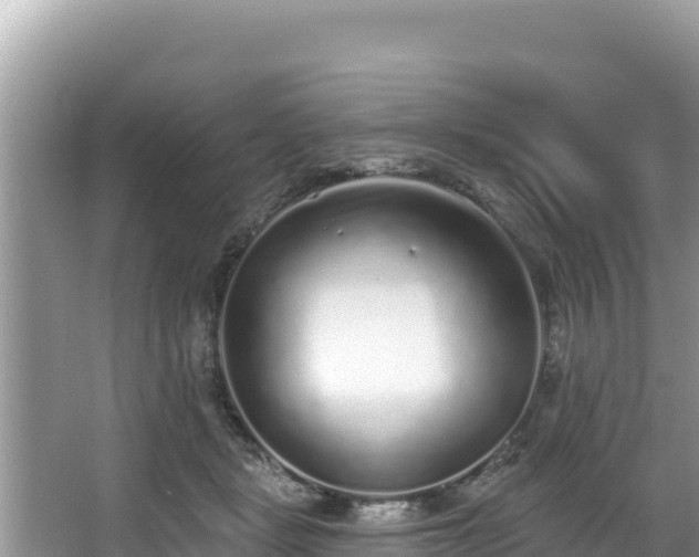 X0000067900461200604171407