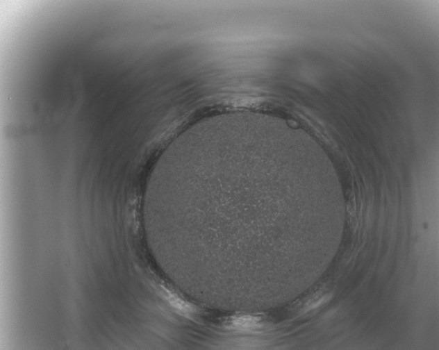 X0000067900462200604171407