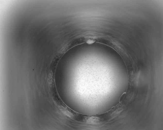 X0000067900463200604171407