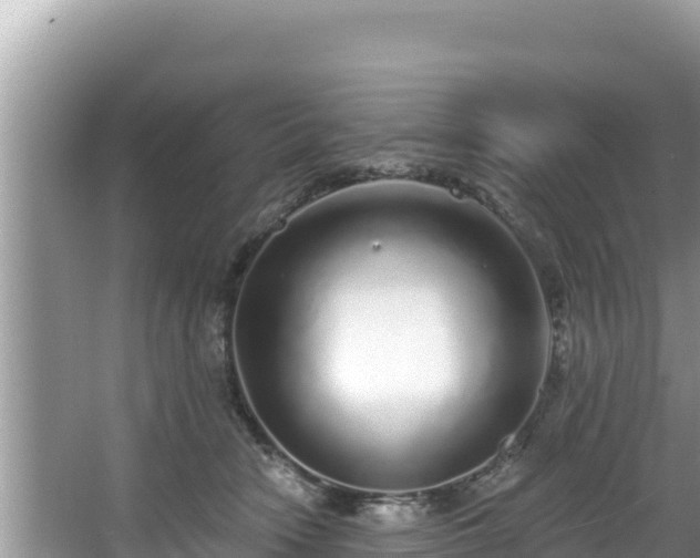 X0000067900466200604171407