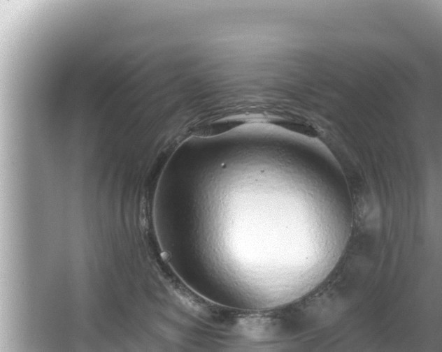 X0000067900470200604171407