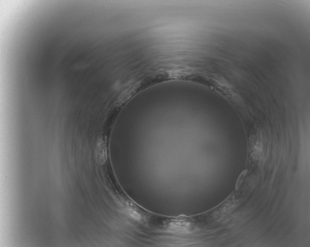 X0000067900471200604171407