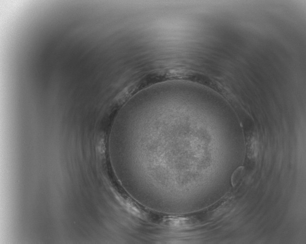 X0000067900472200604171407