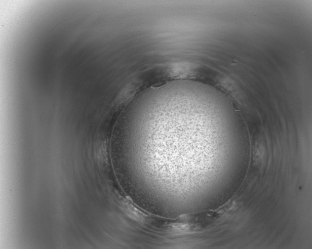 X0000067900473200604171407