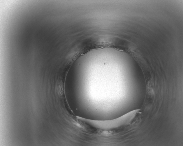 X0000067900474200604171408