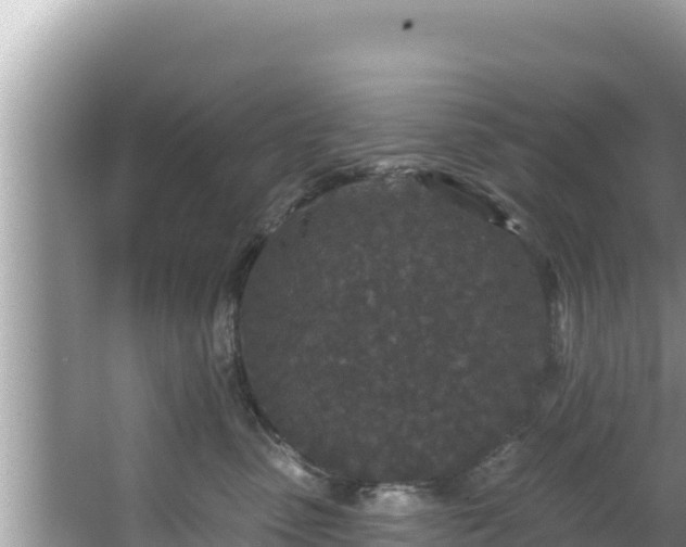 X0000067900475200604171408