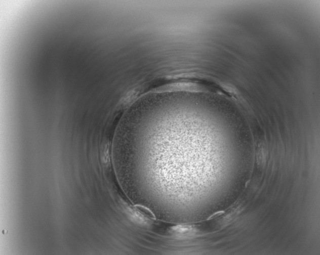 X0000067900477200604171408