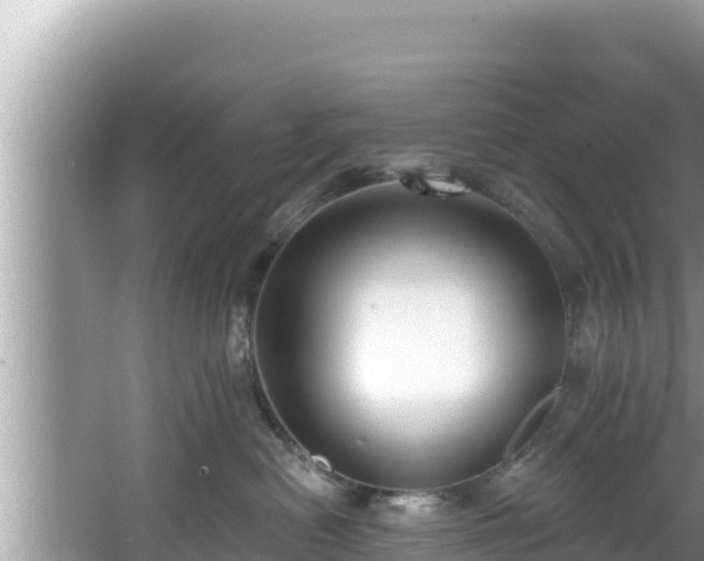 X0000067900478200604171408