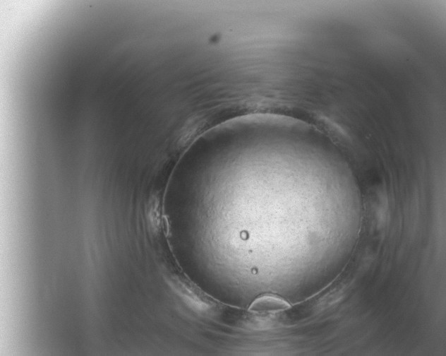 X0000067900479200604171408