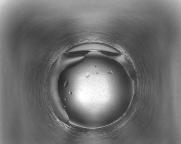 X0000067900481200604171407