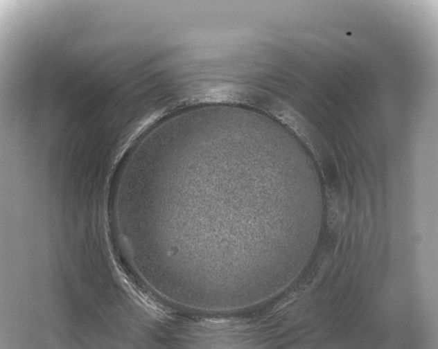 X0000067900482200604171407