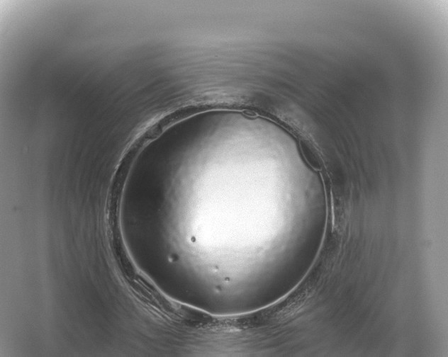 X0000067900483200604171407