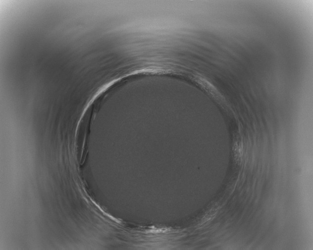 X0000067900484200604171407