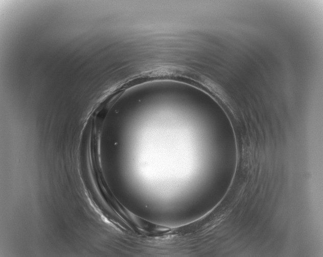 X0000067900485200604171407