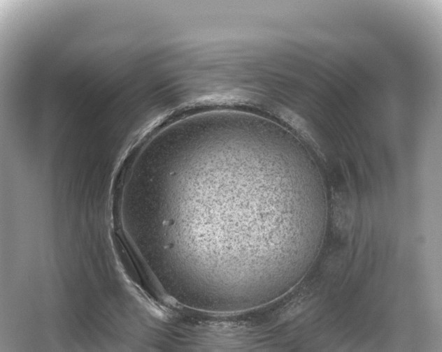 X0000067900486200604171407