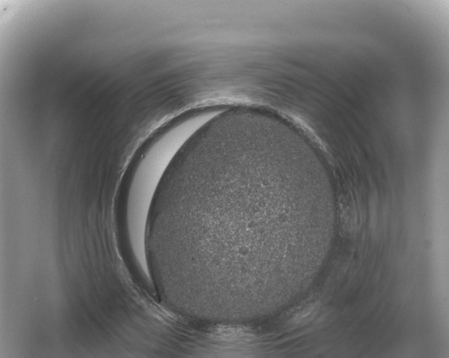 X0000067900487200604171407