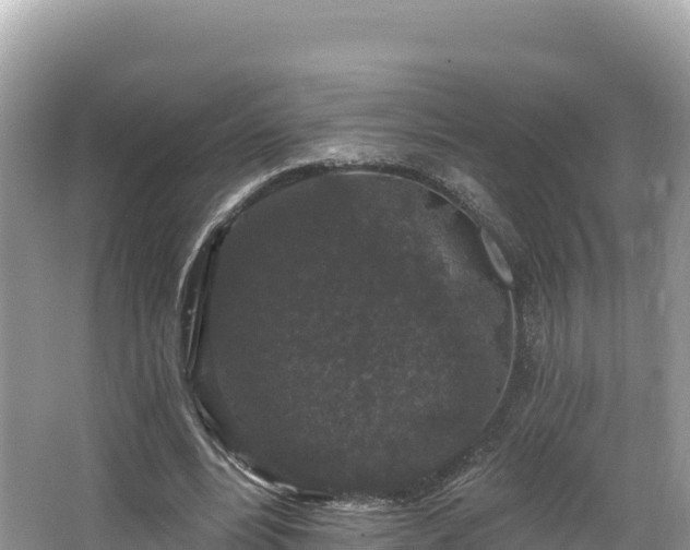 X0000067900488200604171407