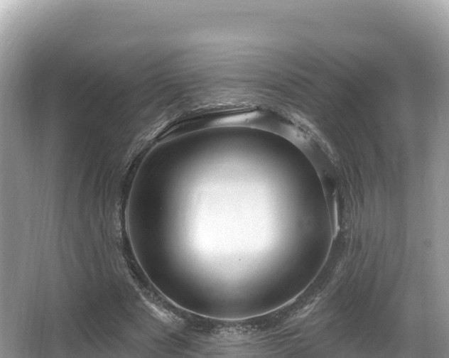 X0000067900489200604171407