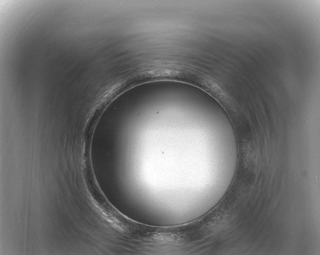 X0000067900490200604171407