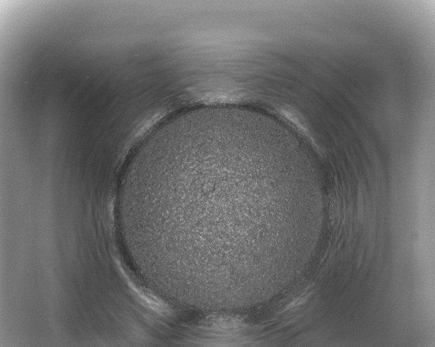 X0000067900491200604171407