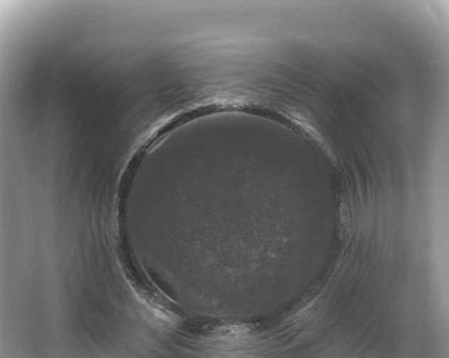 X0000067900492200604171407