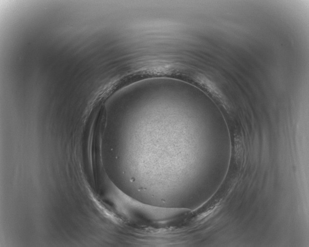 X0000067900493200604171407