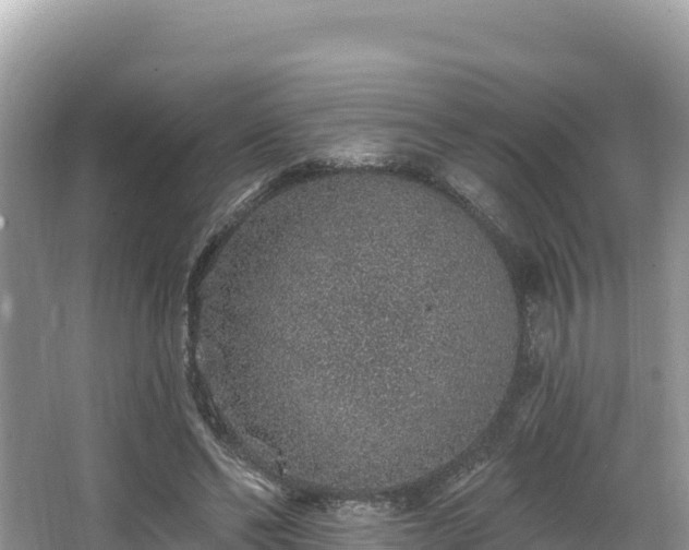 X0000067900494200604171407