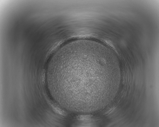 X0000067900495200604171407