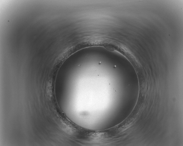 X0000067900497200604171407