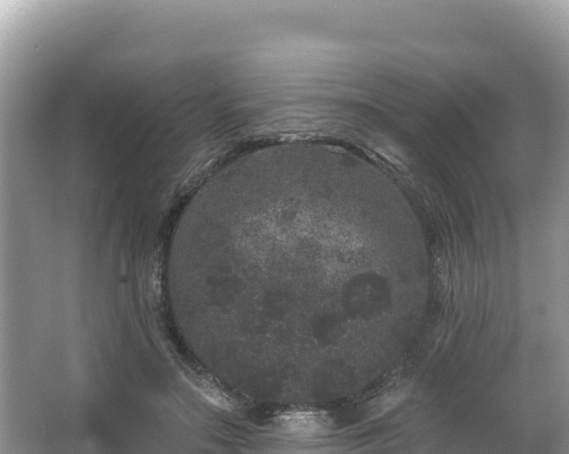 X0000067900499200604171406