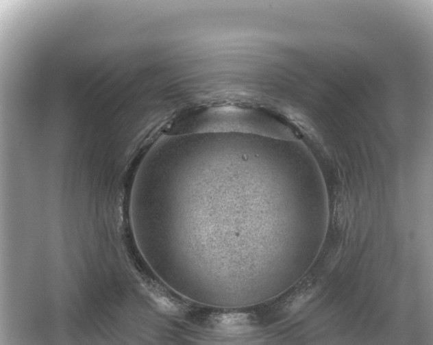 X0000067900501200604171406